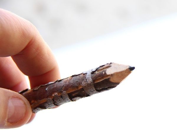 Twig Pencil มาทำดินสอจากกิ่งไม้ เอาใจคนรัก DIY