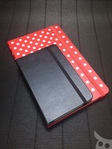 Moleskine Minnie Mouse-19